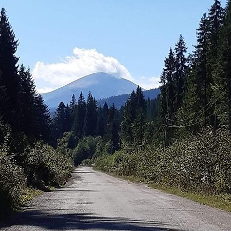 Vila Говерлянка Vorochta Exteriér fotografie