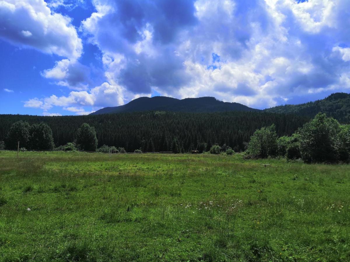 Vila Говерлянка Vorochta Exteriér fotografie