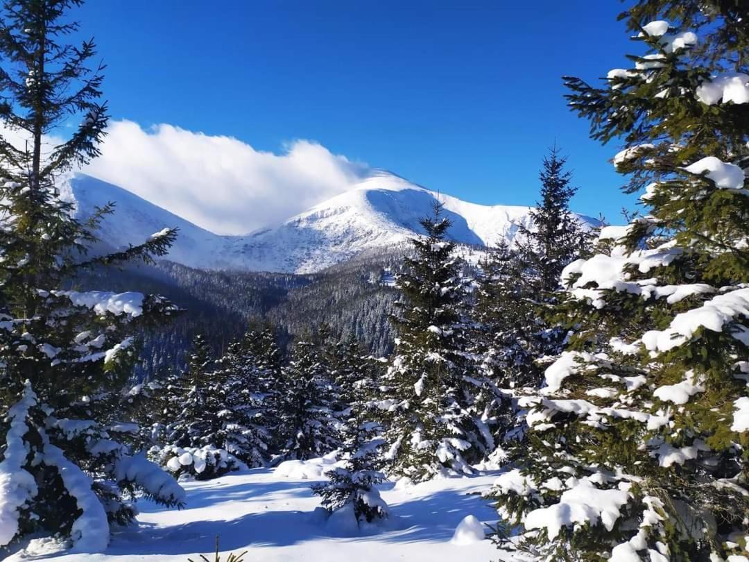 Vila Говерлянка Vorochta Exteriér fotografie