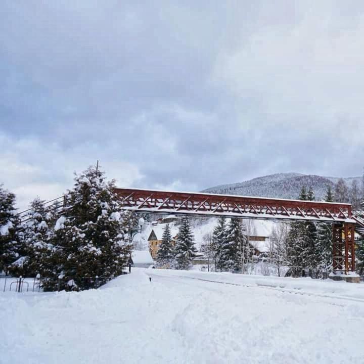 Vila Говерлянка Vorochta Exteriér fotografie