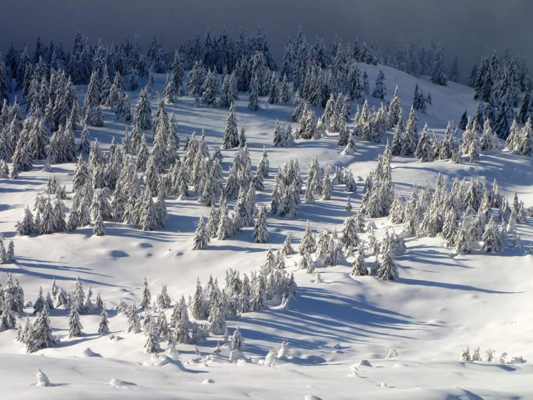 Vila Говерлянка Vorochta Exteriér fotografie